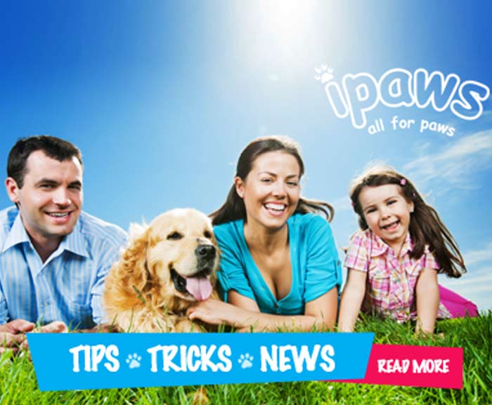 Dog and Puppy Product Supplies Online Melbourne, Brunswick, Essendon, Surry Hills, St Kilda, Coogee